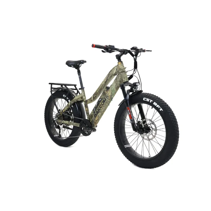 Bakcou Flatlander Step-Through (ST) 24" Electric Bike, 48V 750W