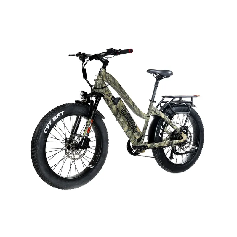 Bakcou Flatlander Step-Through (ST) 24" Electric Bike, 48V 750W