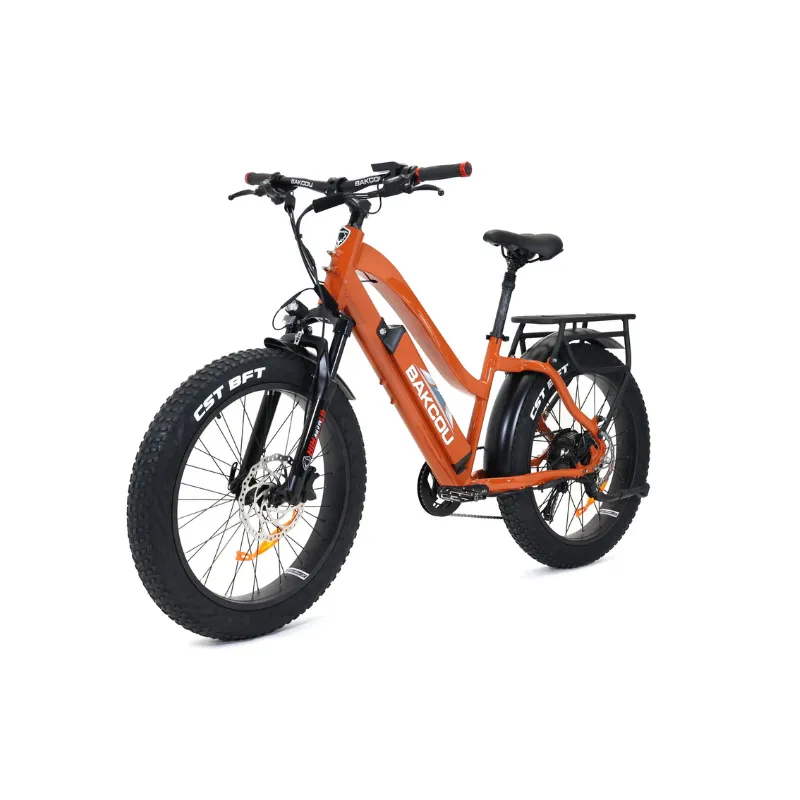 Bakcou Flatlander Step-Through (ST) 24" Electric Bike, 48V 750W