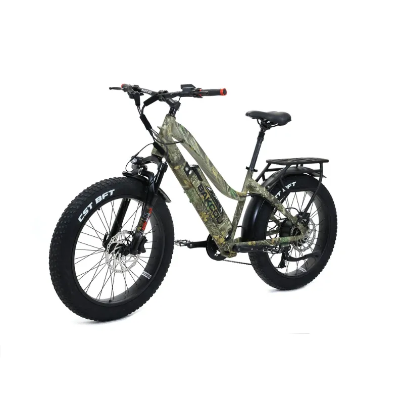 Bakcou Flatlander Step-Through (ST) 24" Electric Bike, 48V 750W