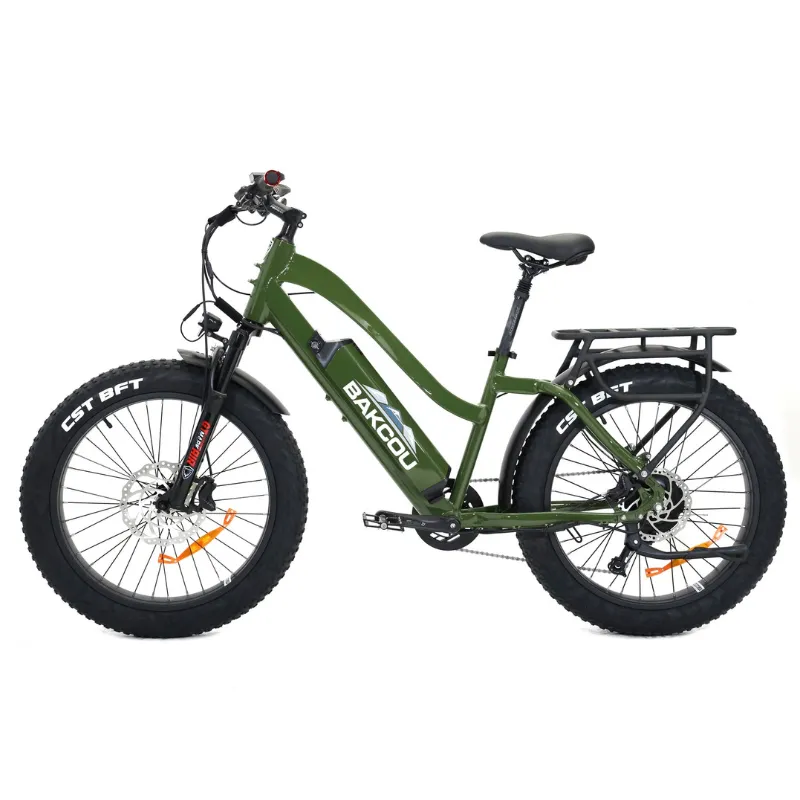 Bakcou Flatlander Step-Through (ST) 24" Electric Bike, 48V 750W