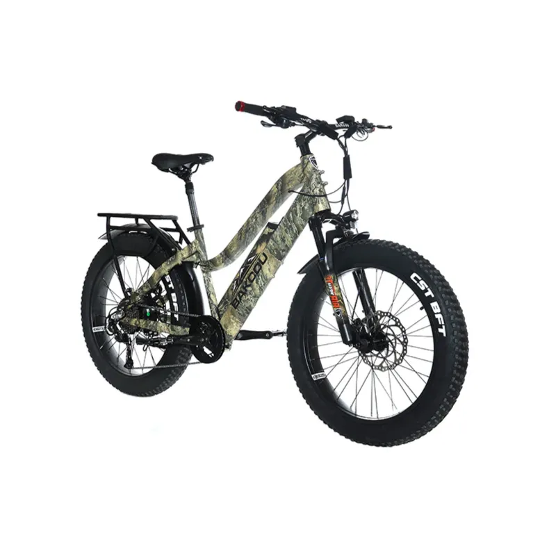 Bakcou Flatlander Step-Through (ST) 24" Electric Bike, 48V 750W