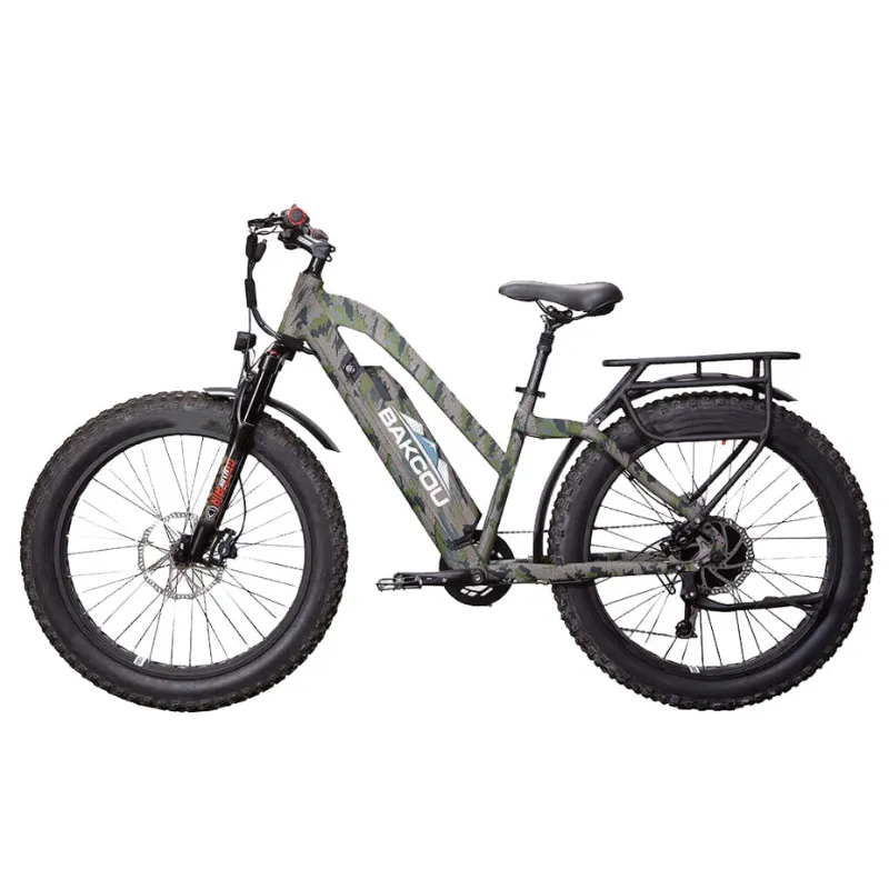 Bakcou Flatlander Step-Through (ST) 24" Electric Bike, 48V 750W