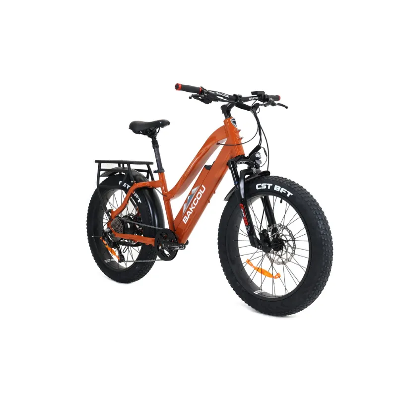 Bakcou Flatlander Step-Through (ST) 24" Electric Bike, 48V 750W